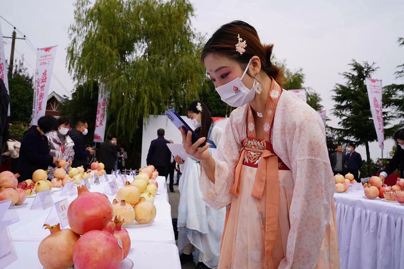 石榴評優(yōu)產(chǎn)品展示區(qū)成為活動現(xiàn)場聚焦的熱點。王三合攝