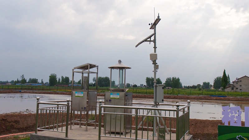 稻田的氣象監(jiān)測設(shè)備。 人民網(wǎng) 黨童攝