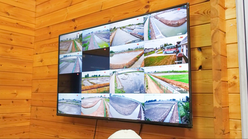 稻田實(shí)時(shí)監(jiān)控管理。 人民網(wǎng) 黨童攝