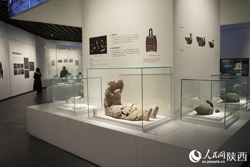 “何止秦俑---秦陵苑囿之K0007陪葬坑”展覽于1月31日開(kāi)展。李志強(qiáng) 攝