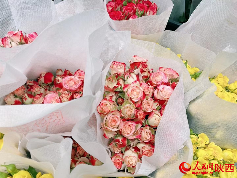 新春傳統(tǒng)花卉。人民網(wǎng) 王麗攝