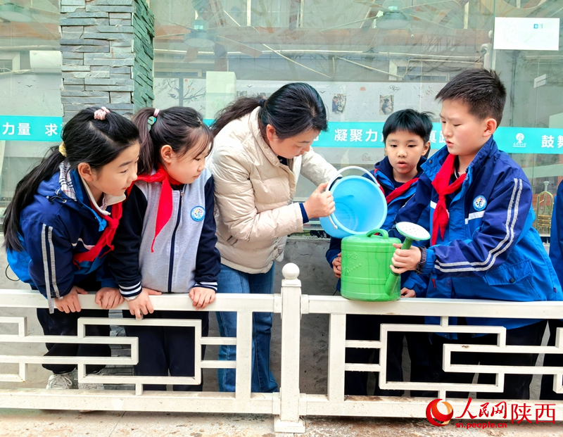 3月11日，西安市碑林區(qū)東廳門小學(xué)四年級2班的同學(xué)們在老師帶領(lǐng)下合力將泡好的化肥水倒入花灑，有序?yàn)樾@樹木澆水。人民網(wǎng)記者 孫挺攝