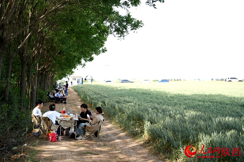 游客在長安區(qū)中江兆村的麥田旁愜意地休息。人民網(wǎng) 吳德鋒攝