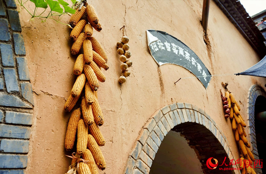 柏社村地坑窯墻面上掛著村民晾曬的玉米。人民網(wǎng)記者 孫挺攝