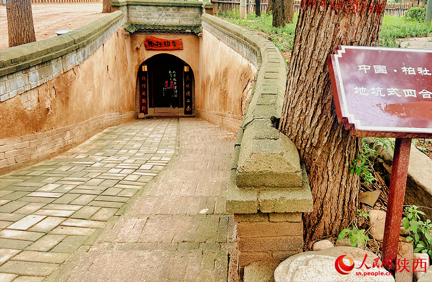 “柏社印象”地坑式四合院入口。人民網(wǎng)記者 鄧楠攝
