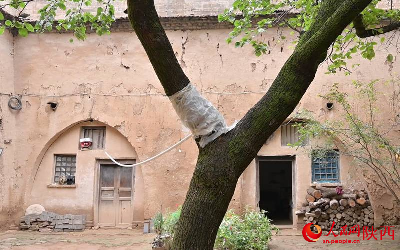 左大爺家的窯洞。人民網(wǎng)記者 白鴿攝