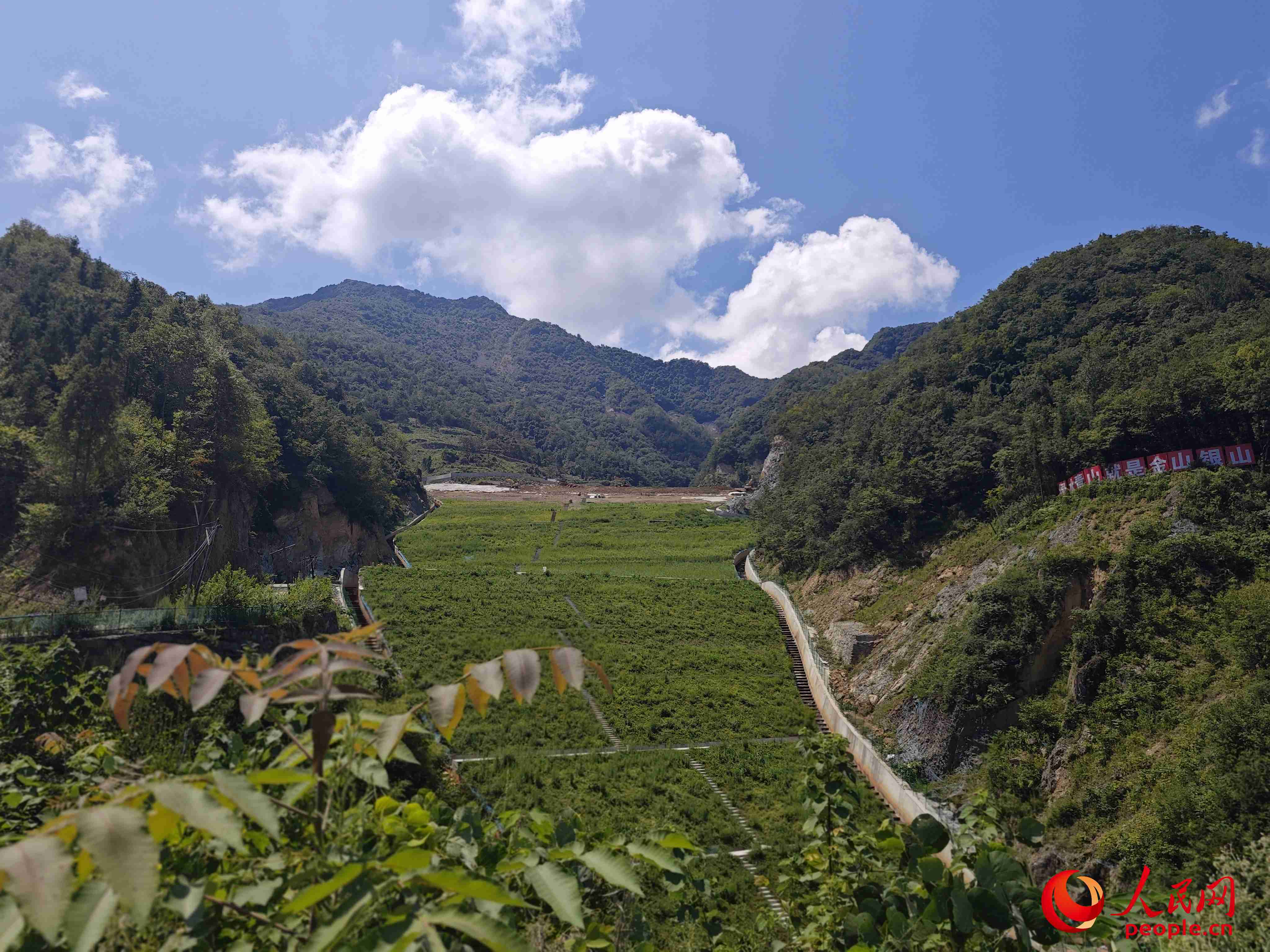 已部分復(fù)綠的貯存場(chǎng)。人民網(wǎng)記者 黃鈺攝