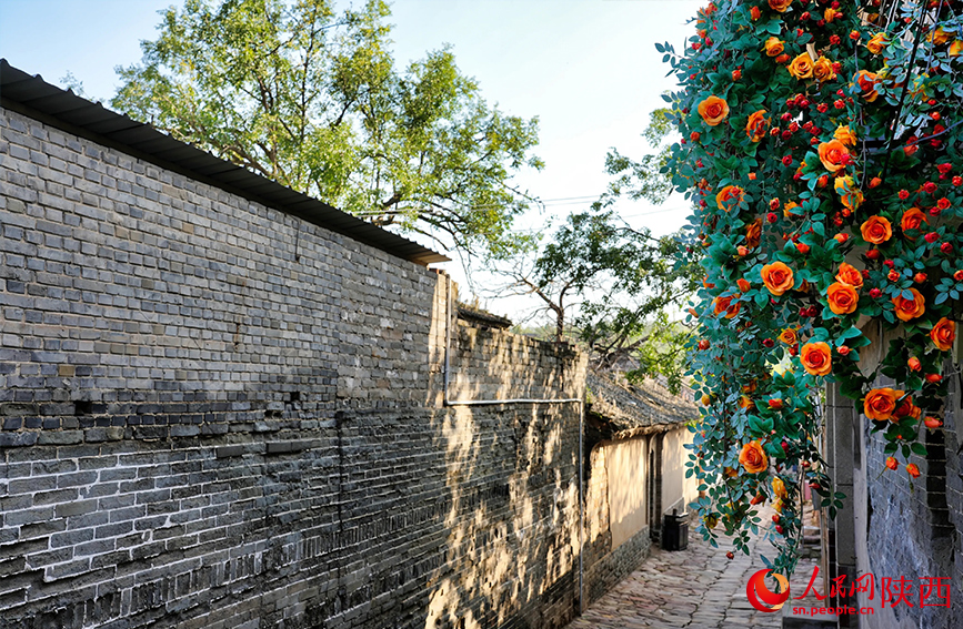 黨家村內(nèi)巷道。人民網(wǎng)記者 孫挺攝