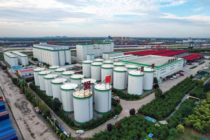 愛菊集團。受訪者供圖