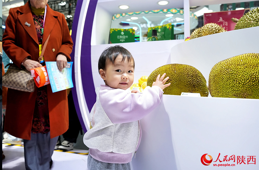 10月28日，楊凌農(nóng)高會海南展區(qū)內(nèi)的菠蘿蜜吸引小朋友駐足。人民網(wǎng)記者 孫挺攝