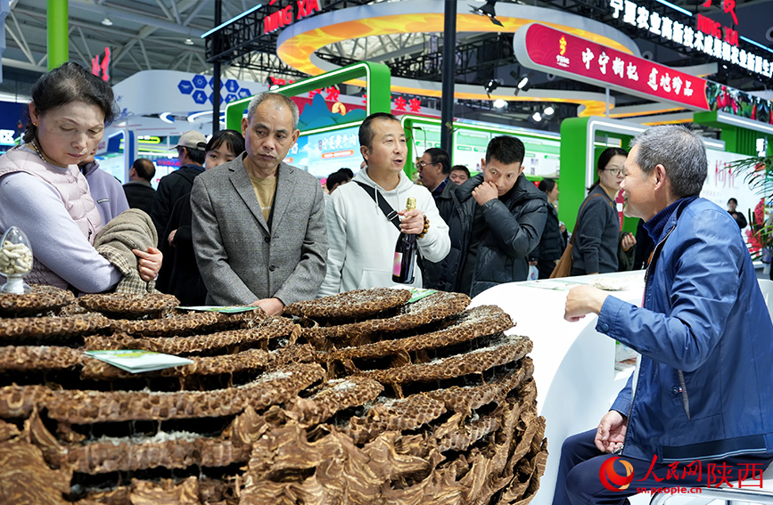 10月28日,參觀者在楊凌農(nóng)高會(huì)湖北展區(qū)了解馬蜂養(yǎng)殖技術(shù)。人民網(wǎng)記者 孫挺攝