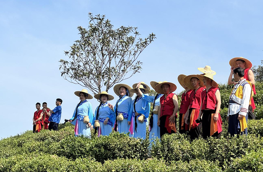 紫陽民歌手在茶山對歌。鄭曉虎攝