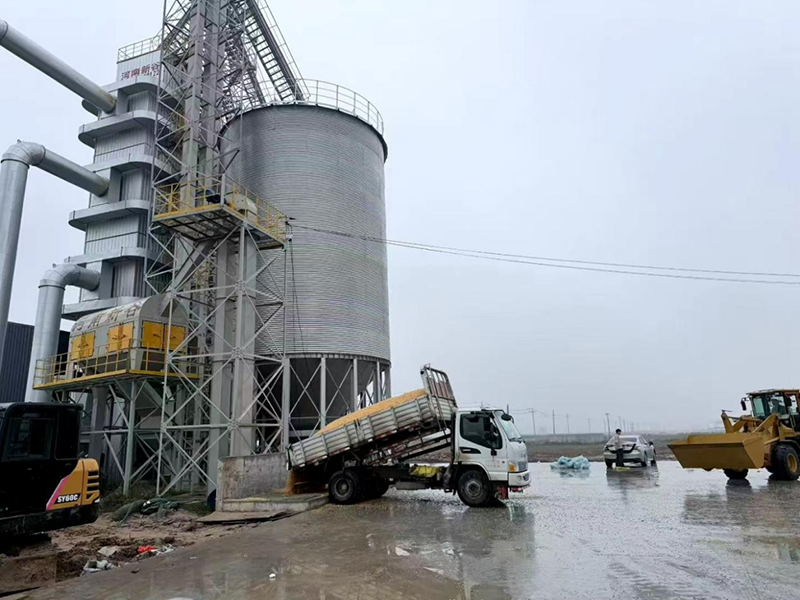 中原糧倉烘干設備在日夜不停烘干中。受訪企業(yè)供圖