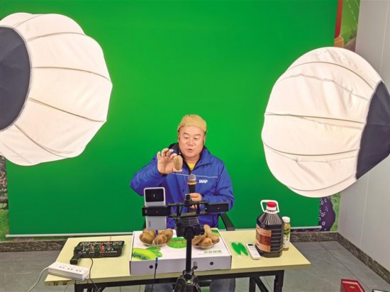 11月15日，孫立在周至縣二姐夫電商團(tuán)隊(duì)直播間推介周至獼猴桃。